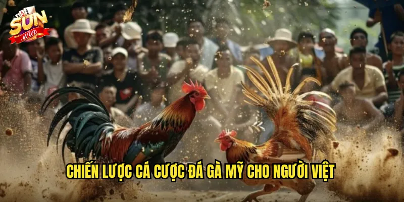 Đá Gà Mỹ Sunwin SH - Phong Cách Thi Đấu Chuyên Nghiệp Từ Xứ Cờ Hoa 3 Chiến lược cá cược đá gà mỹ cho người Việt
