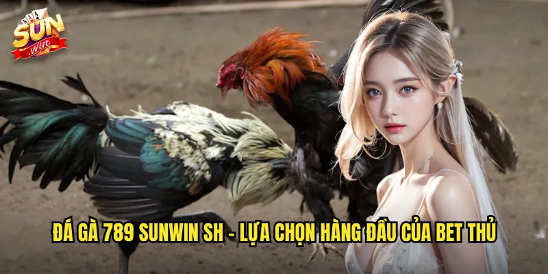 Đá gà 789 sunwin sh - Lựa chọn hàng đầu của bet thủ